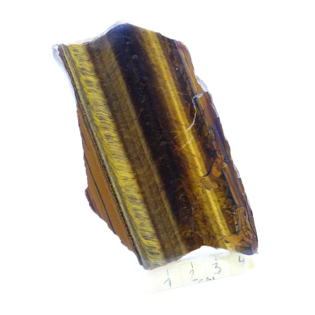 tygrysie oko duży plaster.webp