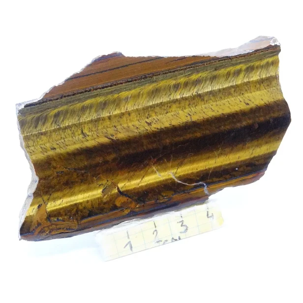 tygrysie oko oszlifowany plaster.webp