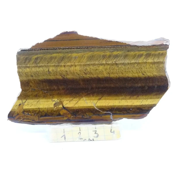 tygrysie oko plaster.webp