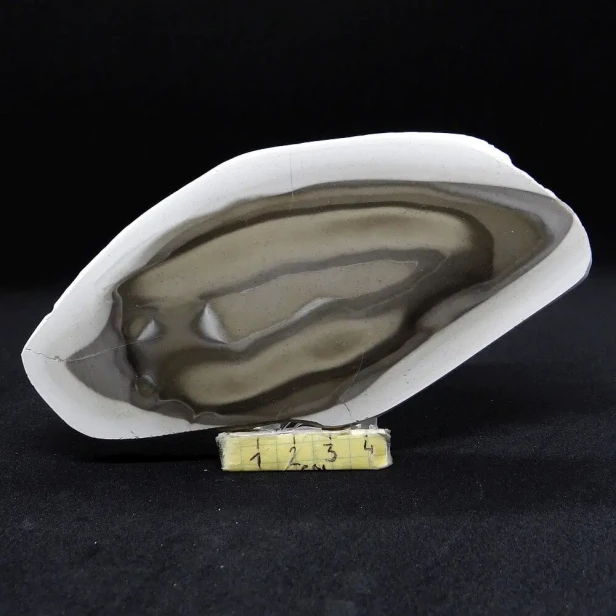 krzemień pasiasty plaster.webp