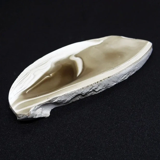 krzemień pasiasty oszlifowany plaster.webp