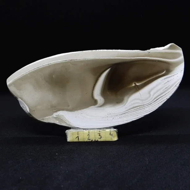 krzemień pasiasty plaster.webp