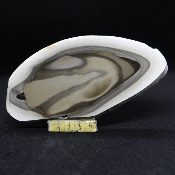 krzemień pasiasty oszlifowany plaster.webp