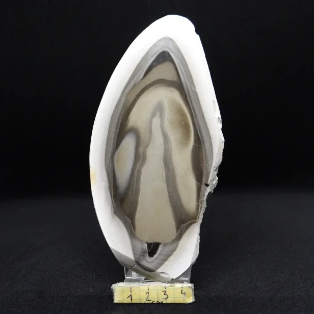 krzemień pasiasty plaster.webp