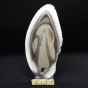 krzemień pasiasty plaster.webp