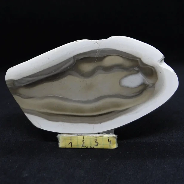 krzemień pasiasty duży plaster.webp