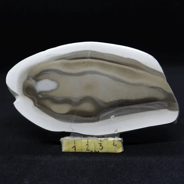 krzemień pasiasty plaster.webp