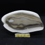 krzemień pasiasty plaster.webp