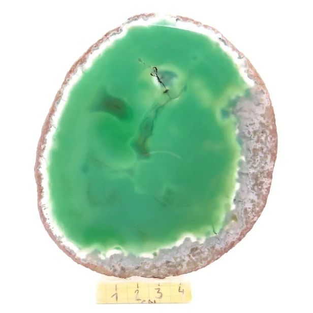 agat plaster.webp