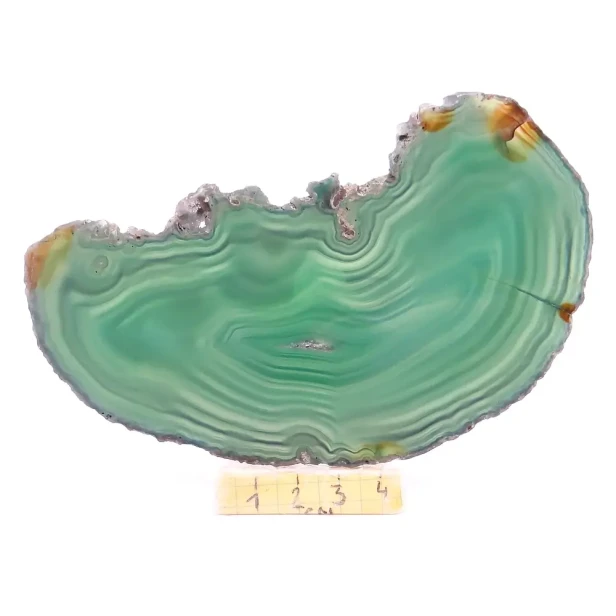 agat plaster.webp