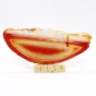 agat plaster.webp