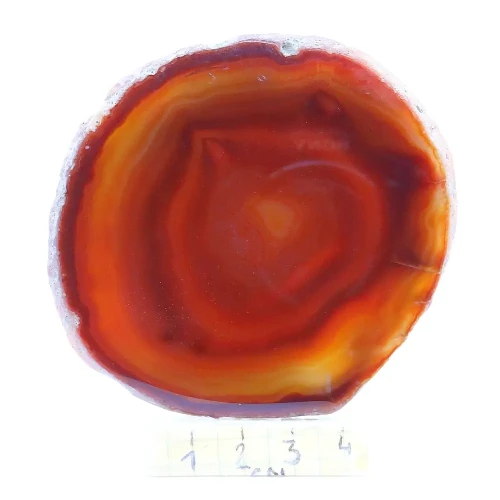 agat plaster.webp