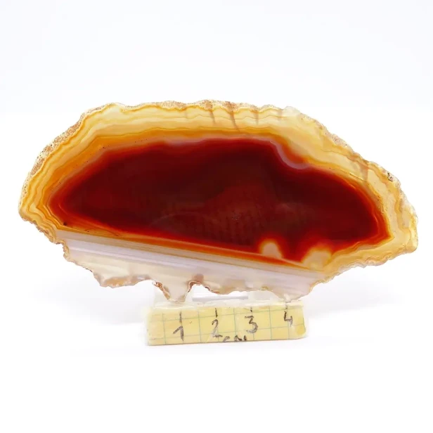 agat plaster.webp