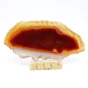 agat plaster.webp