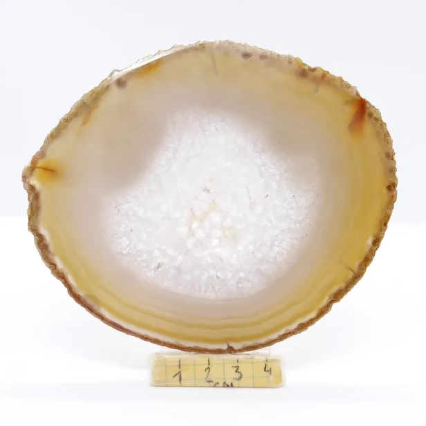 agat plaster.webp