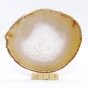 agat plaster.webp