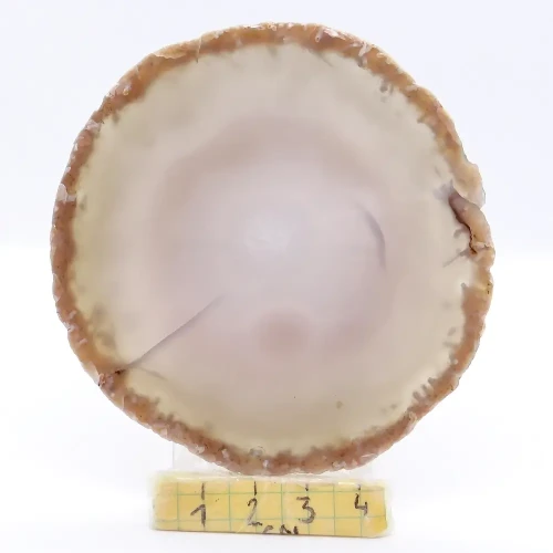 agat plaster.webp