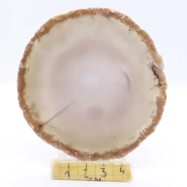 agat plaster.webp