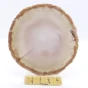 agat plaster.webp