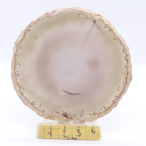 naturalny agat plaster.webp