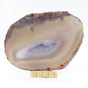 agat plaster.webp