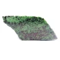 rubiny w zoisycie.webp