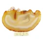 agat.webp