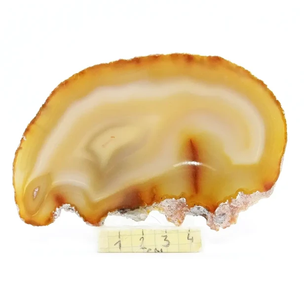 agat plaster.webp