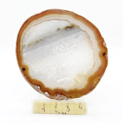 agat plaster.webp