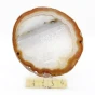 agat plaster.webp