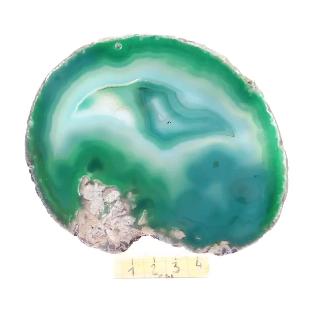 agat plaster.webp