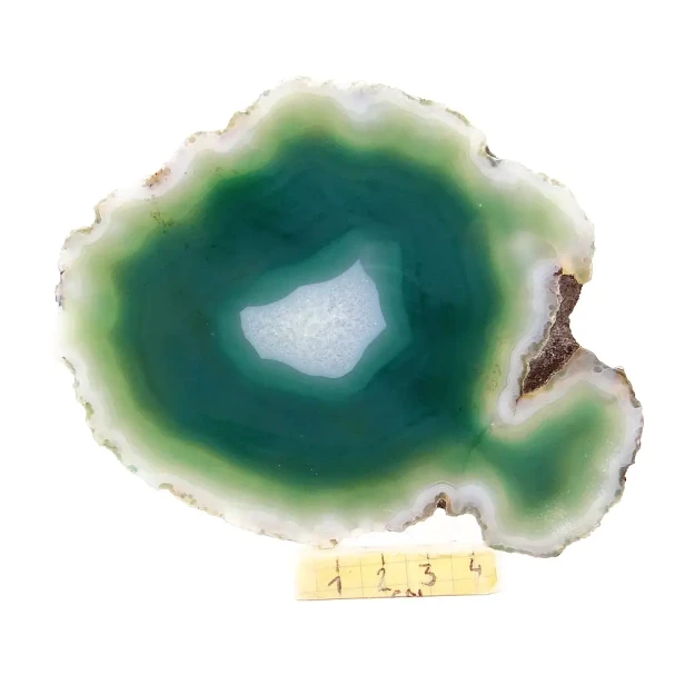 agat plaster.webp