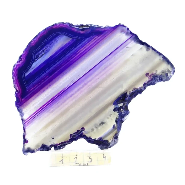 agat plaster.webp