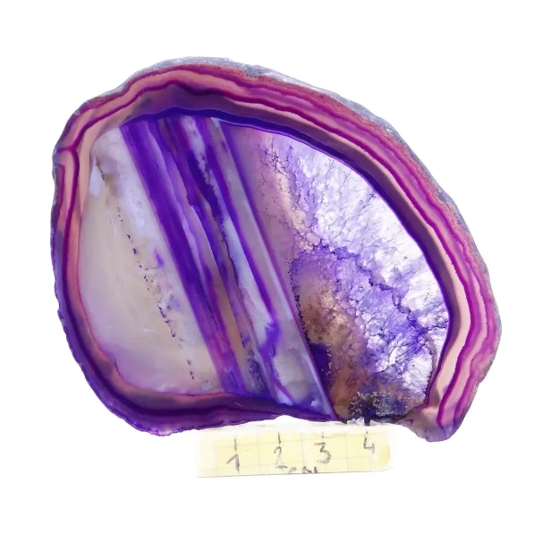 agat plaster.webp