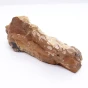 naturalny pseudojaspis.webp