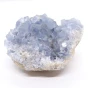 celestyn.webp