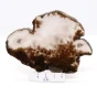 naturalny agat plaster.webp