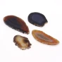 agat plaster zestaw.webp