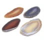 agat plaster.webp