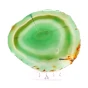 agat plaster.webp