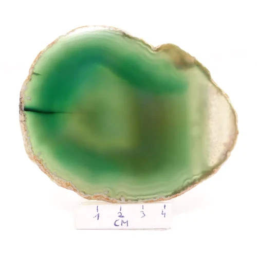 agat plaster.webp