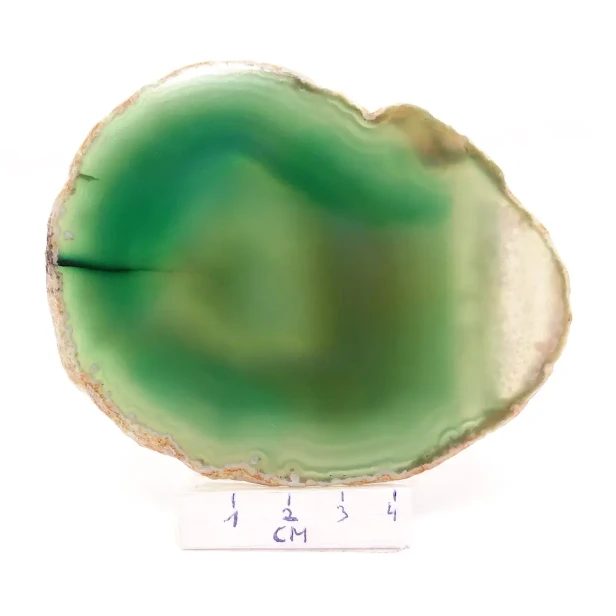 agat plaster.webp
