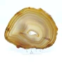 agat plaster.webp