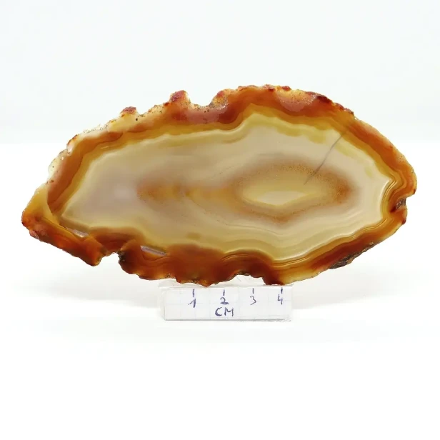 agat plaster.webp