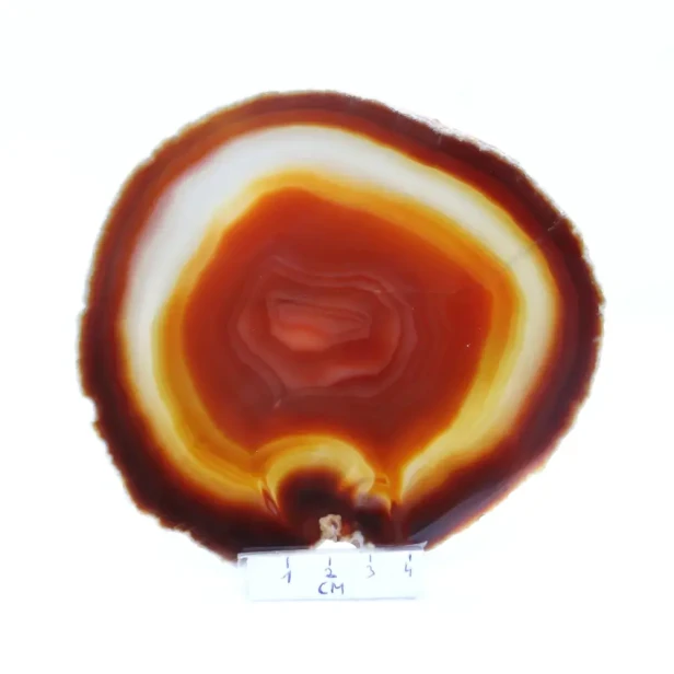 agat plaster.webp