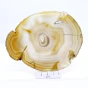 naturalny agat plaster.webp