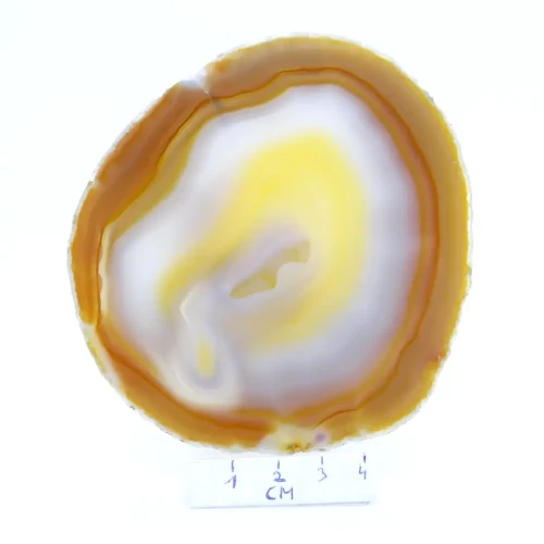 agat plaster.webp