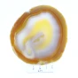 agat plaster.webp
