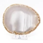 agat plaster.webp