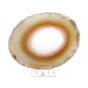 agat plaster.webp